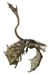Wall Mural - 3d rendered wyvern - a bipedal dragon isolated on transparent background - 3d illustration