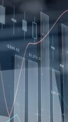 Poster - Animation of statistics and financial data processing