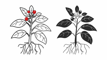 Poster - Illustration of a plant with leaves roots and berries in both color and monochrome style created with generated ai