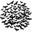 © shah - A swarm of black bats flying in a circular pattern on a white background