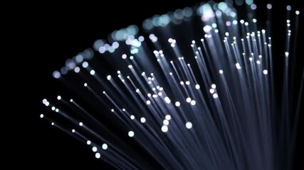Fiber Optic Light Strands: Data Transmission Network