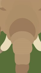 Poster - Animation of head of elephant with tusks, on green background