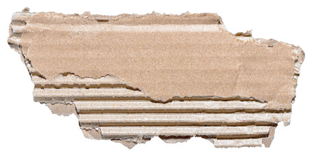 Poster - Isolated cut out torn piece of brown corrugated cardboard paper with texture and copy space for text, transparent png background design element