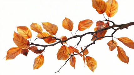 Leinwandbilder - A bird sits calmly on the end of a tree branch, surrounded by foliage