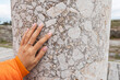 © EdNurg - Close up of female hand gently touching surface of ancient roman column, exploring texture and history of ruins