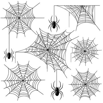 Vector style black white halloween elements spider webs isolated on white