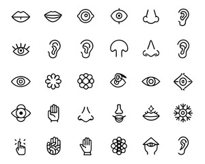 Poster - Collection of five fundamental human sensory perception symbols representing taste sight touch smell and hearing presented in a clean modern graphic style