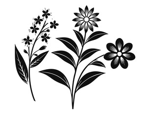 Poster - Collection of delicate floral and botanical silhouettes in black and white with subtle color accents for design projects