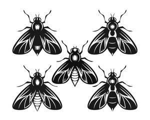 Poster - Collection of striking black silhouettes showcasing various insect forms perfect for graphic design projects and thematic illustrations