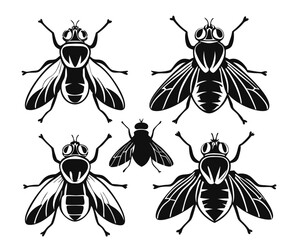 Poster - Collection of diverse black insect silhouettes for graphic design projects featuring flies and other winged creatures in various poses