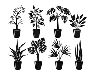 Poster - Diverse collection of potted indoor foliage and botanical specimens presented in striking black and white graphic outlines for decorative applications