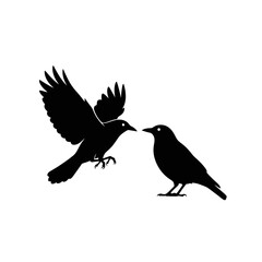 Poster - Two black bird silhouettes one in flight and the other standing on a white background design