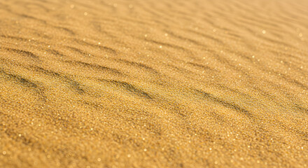  Warm Golden Sand Surface Displaying Subtle Rippled Wave Pattern
