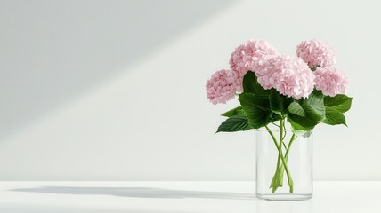 Poster - Soft pink hydrangea blooms nestling in clear glass vase, emanating refined elegance against minimalist home decor background