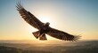 © ThanhLuan - 황금빛 석양 아래 힘차게 날갯짓하는 독수리 자유로운 비상