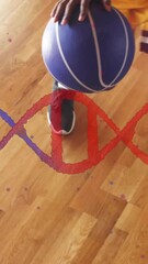 Poster - Dribbling basketball on court, DNA strand animation over wooden floor