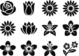 Poster - Collection of twelve black flower icons and silhouettes on white background