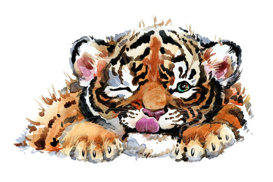 Watercolor painted Tiger cub isolate on transporent background