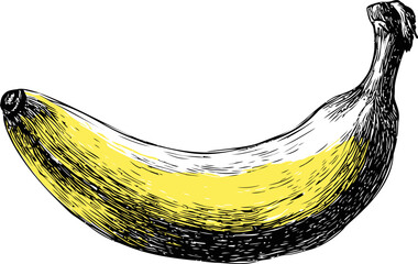 Poster - Detailed sketch of a banana with yellow and black shading, artistic drawing