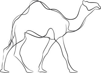 Poster - Minimalistic line art of a camel in black and white, artistic contour