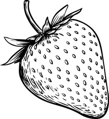 Poster - Black and white illustration of a detailed strawberry with leaves
