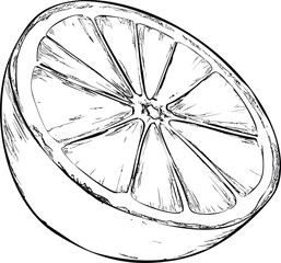 Poster - Detailed black and white illustration of a sliced lemon half with cross section