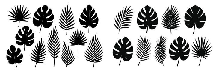 Poster - Various black silhouette leaves arranged on a white background showcasing tropical flora designs for decoration