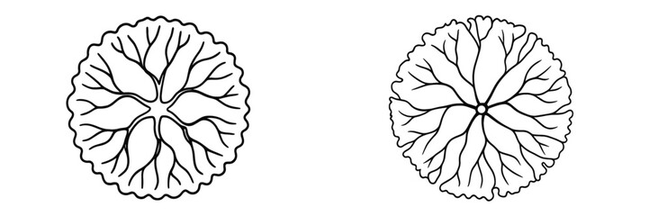 Poster - Intricate line art of decorative floral designs showcasing unique patterns and symmetry in black and white