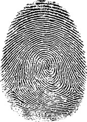 Poster - Detailed black and white fingerprint illustration