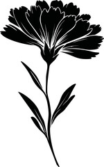 Poster - Black silhouette of a blooming flower with detailed petals and leaves