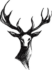 Poster - Ink illustration of a deer head with large antlers in black and white, artistic sketch