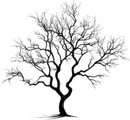 Poster - Silhouette of a leafless tree with intricate branches