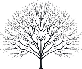 Poster - Bare winter tree silhouette with intricate branches