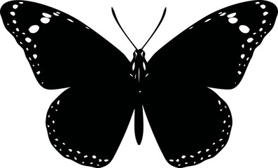 Poster - Black butterfly silhouette with detailed wings, black and white vector design