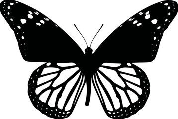 Poster - Black silhouette of butterfly with detailed wings