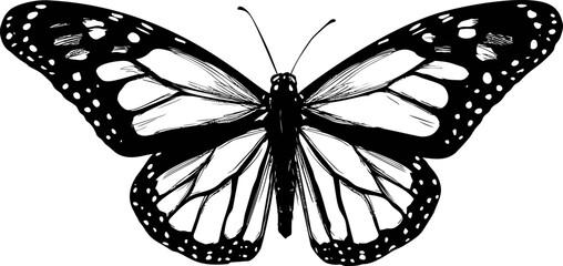 Poster - Monarch butterfly black and white illustration with open wings, detailed design