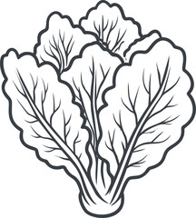 Poster - Stylized monochrome illustration of lettuce with detailed leaf patterns