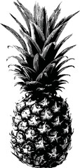 Poster - Detailed black and white pineapple illustration with intricate patterns