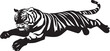 © Ty - Tiger Jumping Mid-air leap with legs extended, body arched. full length silhouette black vector illustration