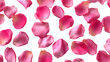 © Pixel Provisions - Scattered pink rose petals elegantly fall against a stark transparent background, creating a romantic, floral aesthetic with soft textures and highlights.