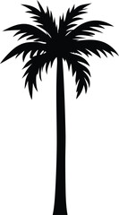 Poster - A stark black silhouette of a tropical palm tree with a tall slender trunk and a full crown of feathery fronds against a clean white background