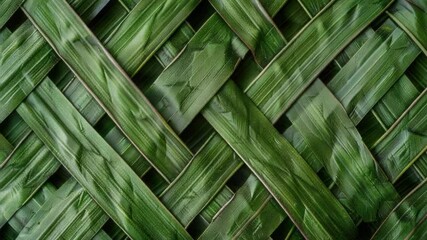 Poster - A detailed shot of a single green leaf with veins and edges visible