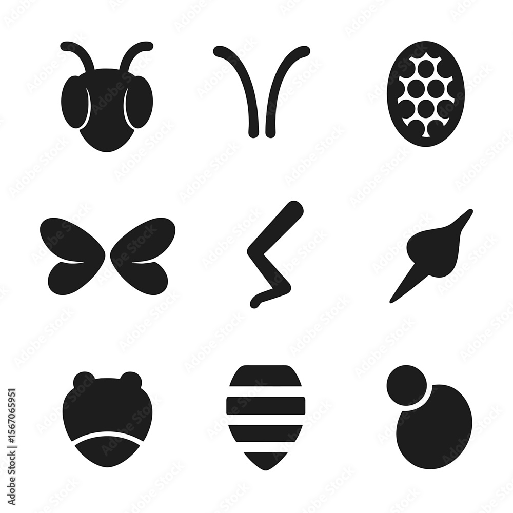 Bee Anatomy Icons. Solid, filled icon set of bee anatomy: bee head ...