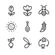 © Тимур Кунець - Floral Lifecycle Icons. Outline icon set of flowering and reproduction: flower bud, open blossom, pollinator insect, pollen grain,