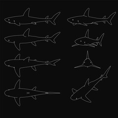 Poster - Six black and white sharks are outlined in stark white against a dark background, creating a striking contrast. The minimalist design features clean lines and a bold monochrome aesthetic.