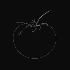 Poster - Tomato drawn in a single continuous line against a black background, showcasing stark contrast and simplicity. The minimalistic style highlights the vegetable's shape without additional elements.
