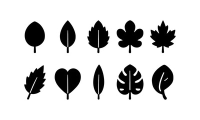 Poster - Leaf, nature silhouette icon set. botanical, foliage, plant symbols for eco designs