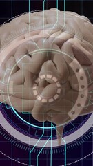 Poster - Animation of human brain and data processing over circuit board