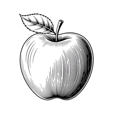 apple on a black background