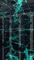 Poster - Animation of network of connections data processing over computer servers